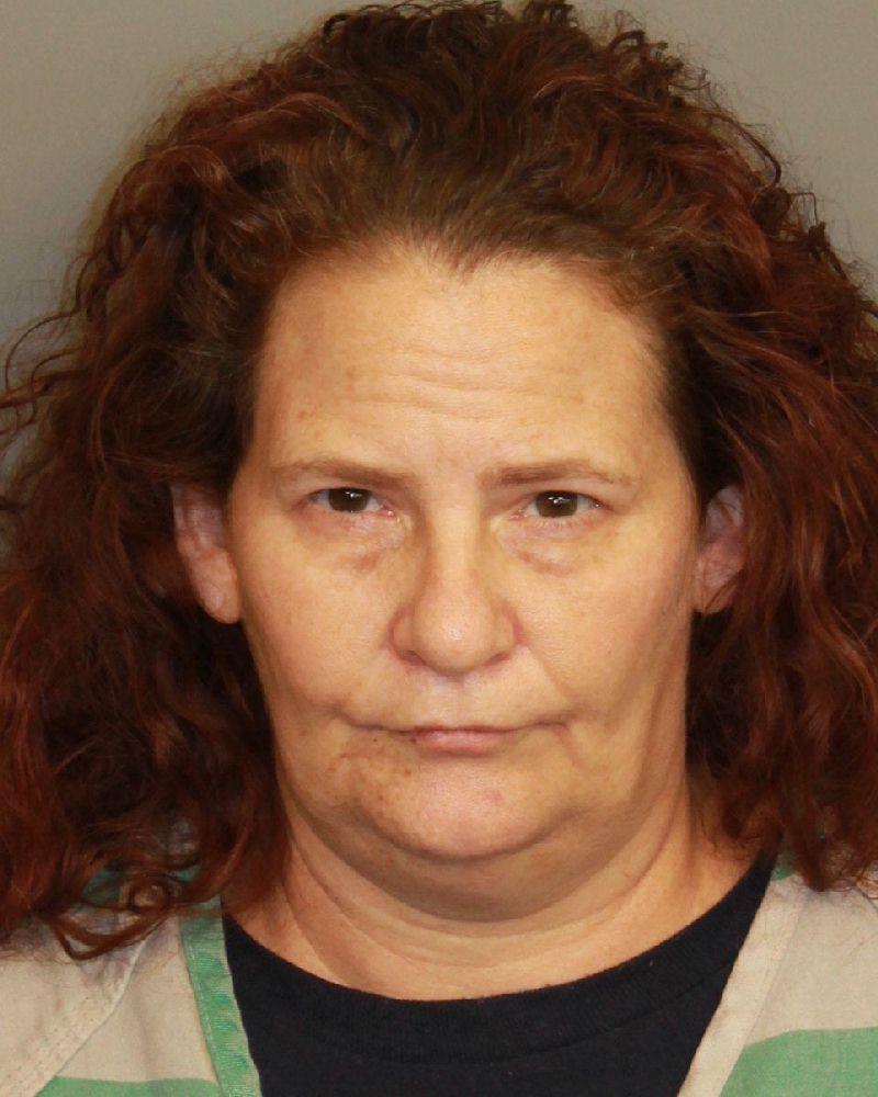mugshot of AKINS, BRIDGET AMANDA