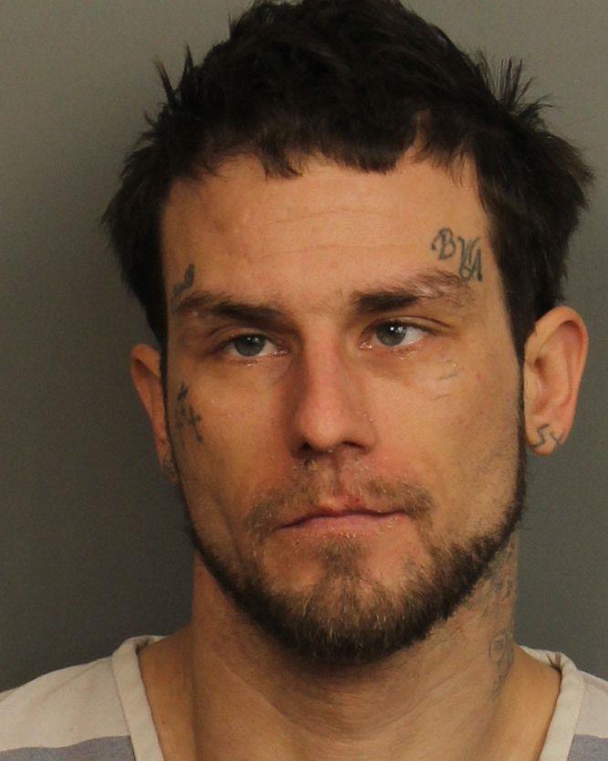 mugshot of HANEL, BRADLEY LYNN