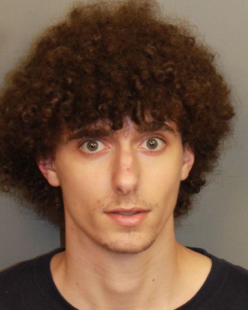 mugshot of HARMON, ADDISON SCOTT
