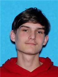 mugshot of HOLCOMB, HARLEY SHANNON