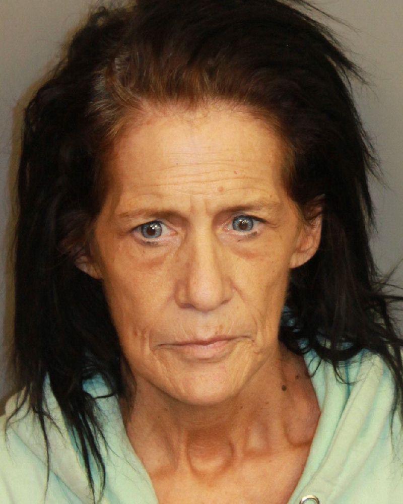 mugshot of FILES, SHANNON JO