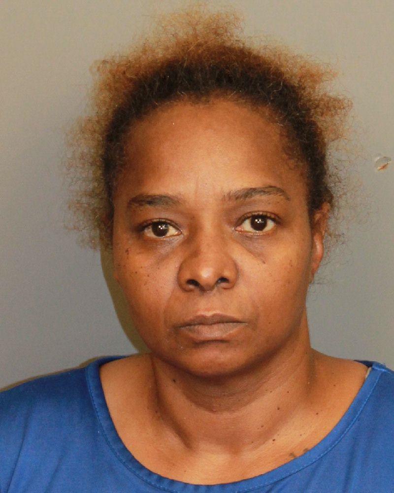 mugshot of PALMER, BRENDA FAYE