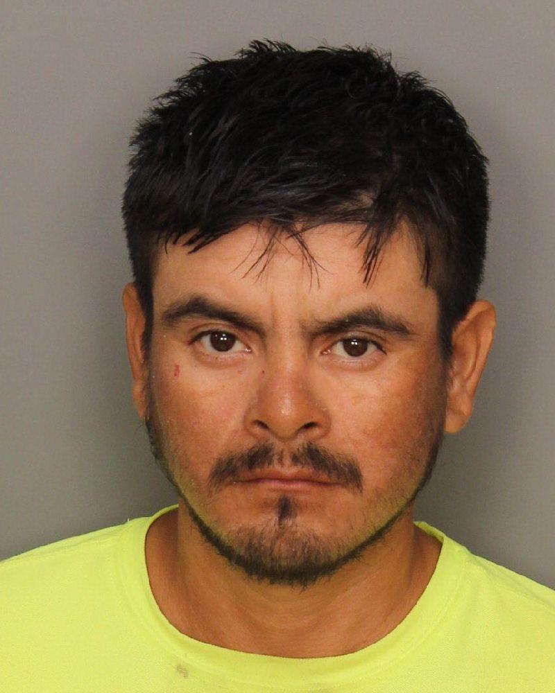 mugshot of BADILLO, FELIX