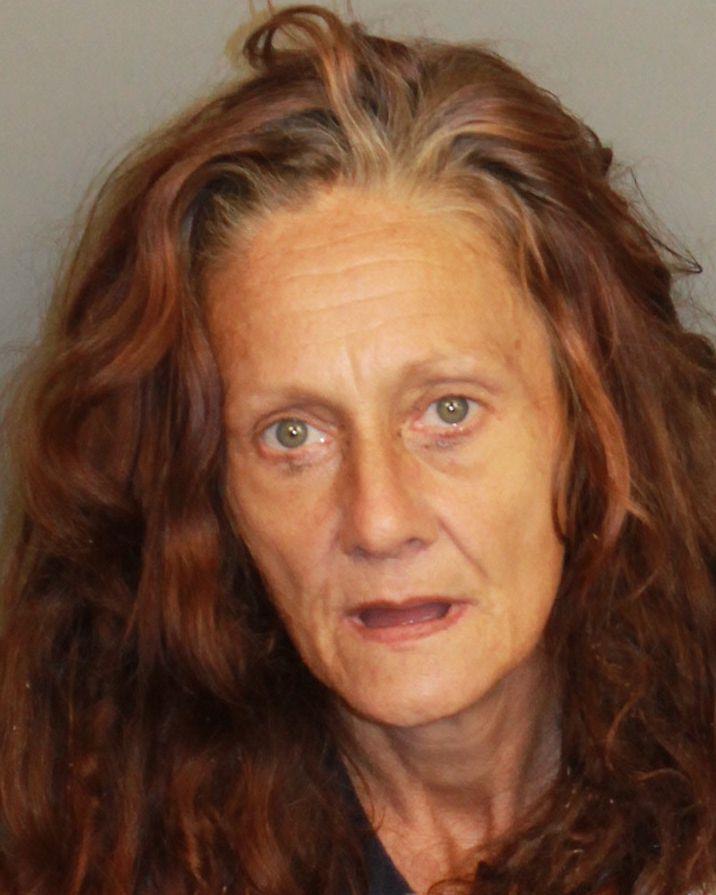 mugshot of FIELDING, MONICA DAYE