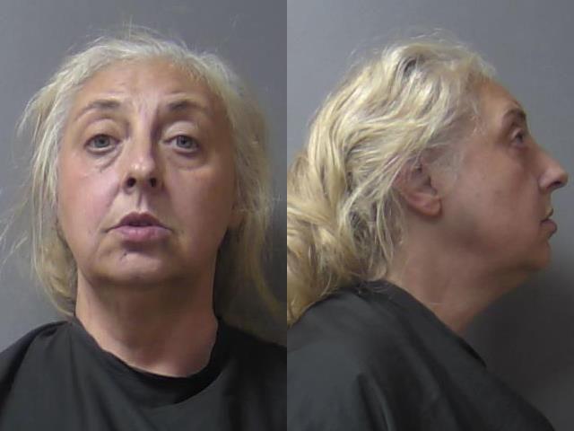 mugshot of Fort, Talema Michelle