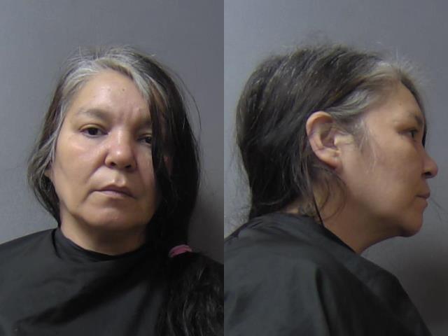 mugshot of Williams, Yolanda Marie