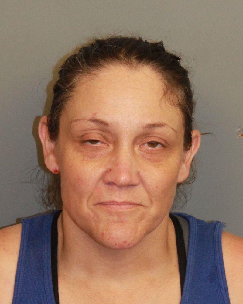 mugshot of ELLISON, KAREN LEE