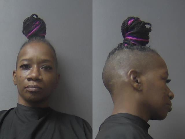 mugshot of Lee, Shanna Dionne