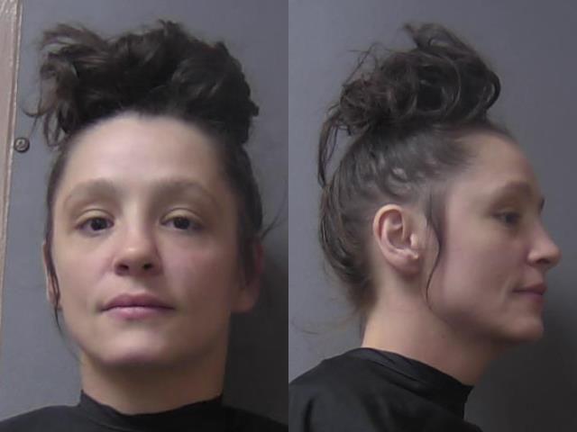 mugshot of Williams, Jessica Renia