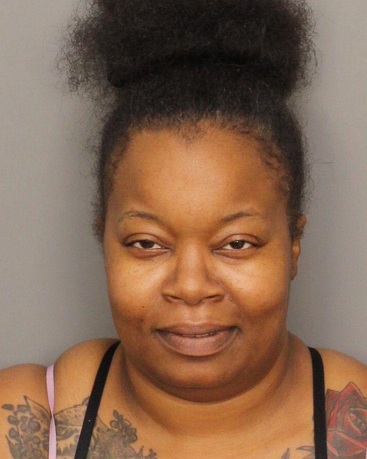 mugshot of CHANEY, ERICA RENEE