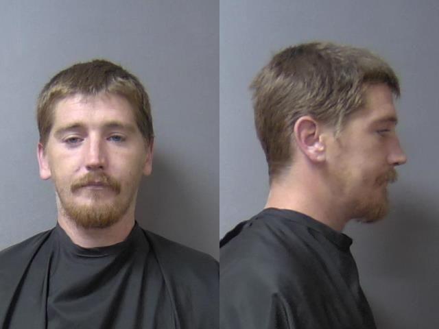 mugshot of Henson, Austin Michael