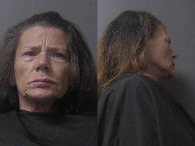 mugshot of Brantlinger, Toni Ann