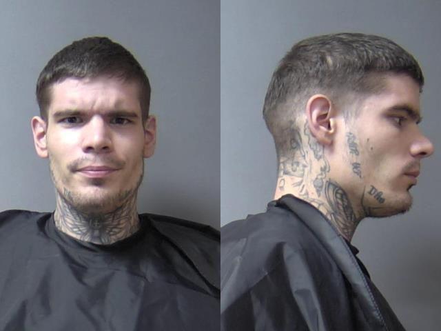 mugshot of Hager-Marcure, Joshua Shenan