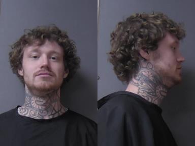 mugshot of Ludington, Jason Tyler