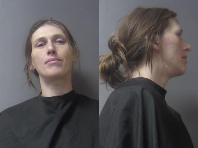 mugshot of Bannon, Cora Lou Challon