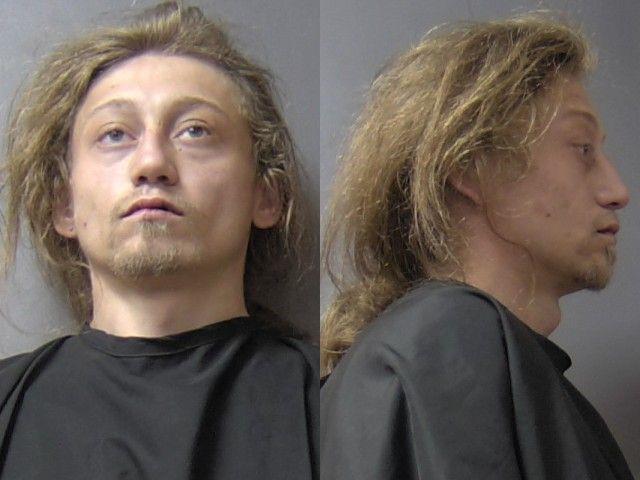 mugshot of Steele, Mason Levi