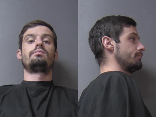 mugshot of Bowlin, Damien Lee