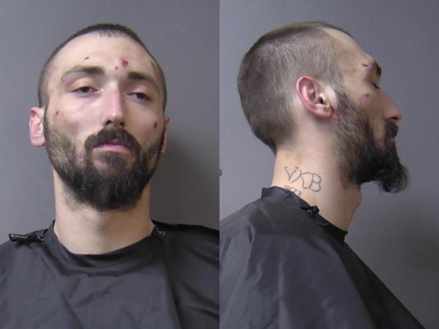 mugshot of Burton, James Robert