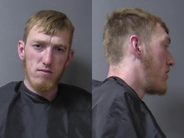 mugshot of Welling, Austin Joseph