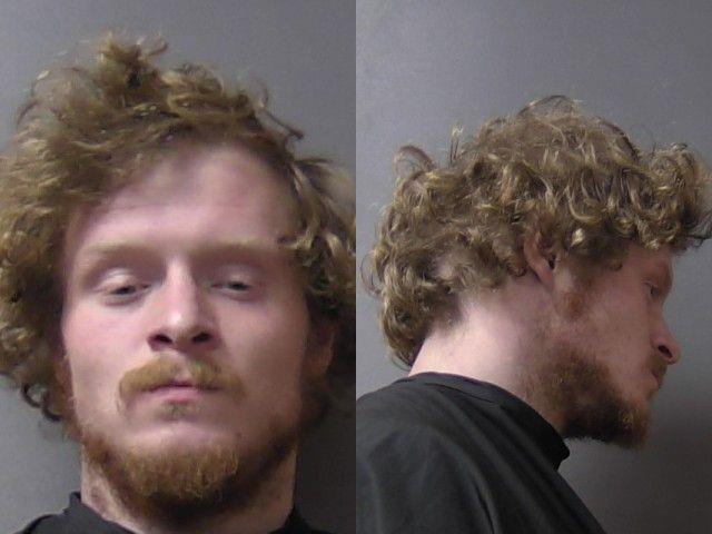 mugshot of Lifford, Briar Austin