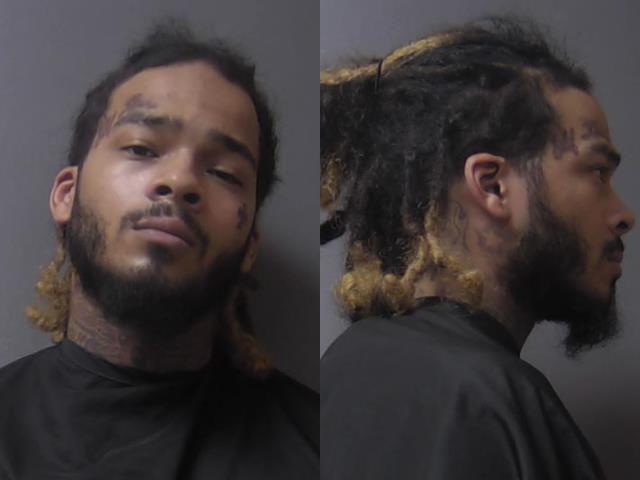 mugshot of Austin, Gabriel Van Nicholaus