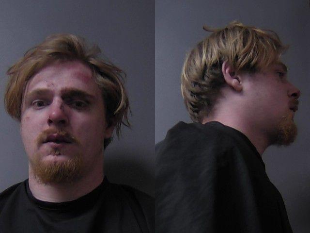 mugshot of Delaplane, Brendon Cain