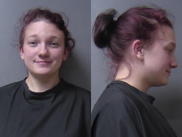 mugshot of Carpenter, Ashley Brandi