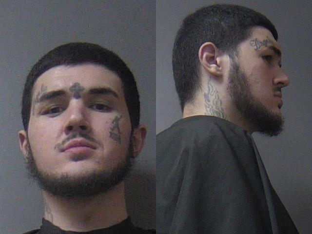 mugshot of Fiorentino, Hunter Mikel