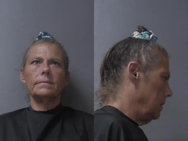 mugshot of Blanton, Dana L