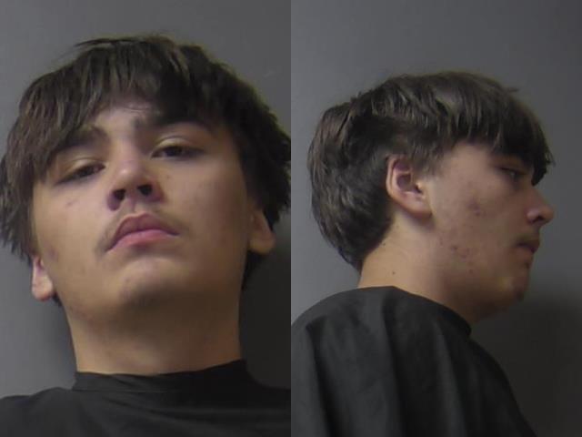 mugshot of Bannon, Luke Joseph
