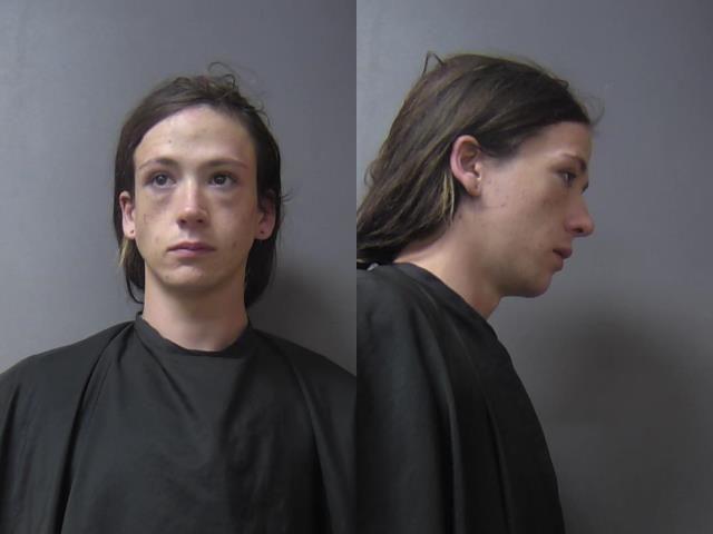 mugshot of Williams, Clayton Lysle