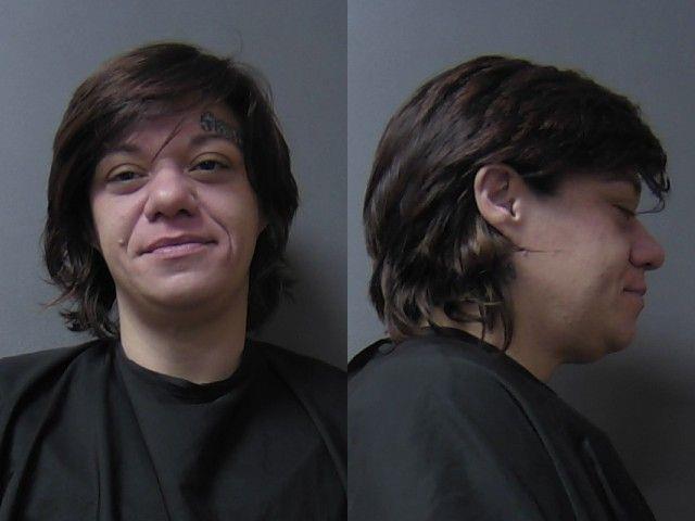 mugshot of Abel, Megan Lynn