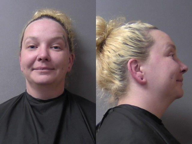 mugshot of Hudson, Daniell Ann