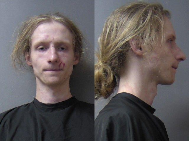 mugshot of Williams, Lucas Donovan