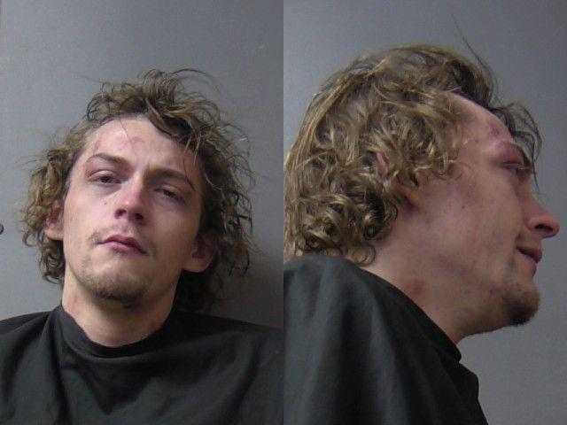 mugshot of Brown, Payton Lee