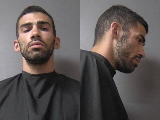mugshot of Lady, Ryan Jordan