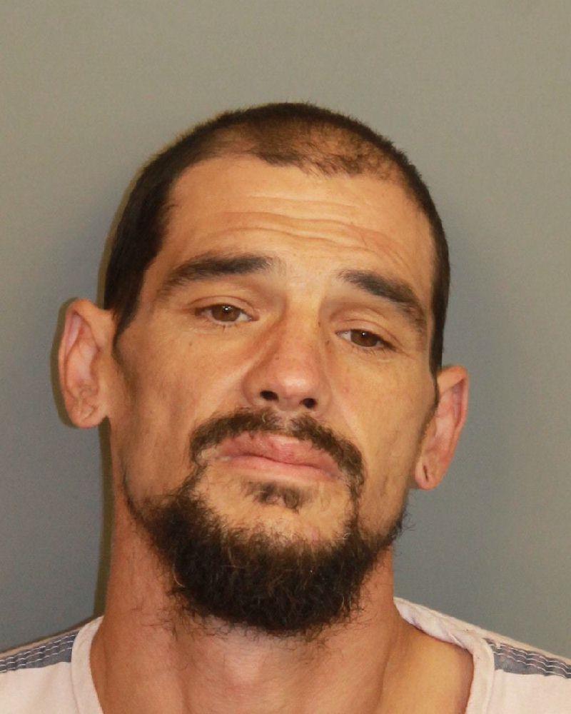 mugshot of WILLIAMSON, MATTHEW ERIC