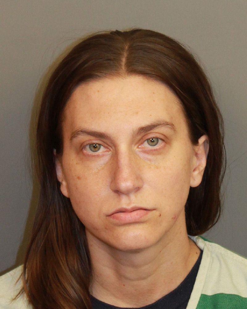 mugshot of CHAPMAN, ERIN LOVETT