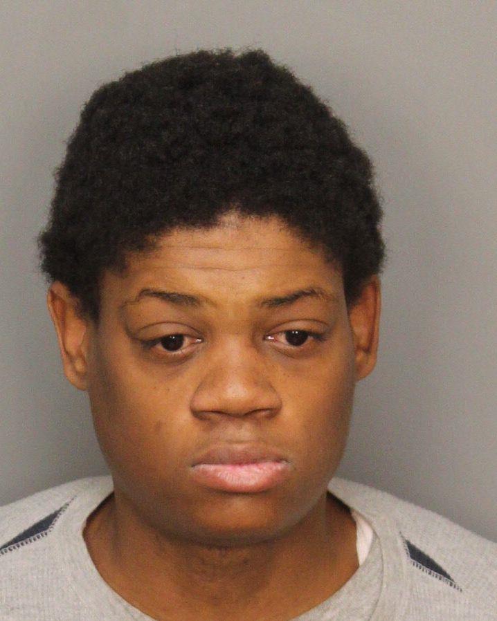 mugshot of THOMAS, HAILEY MARIE