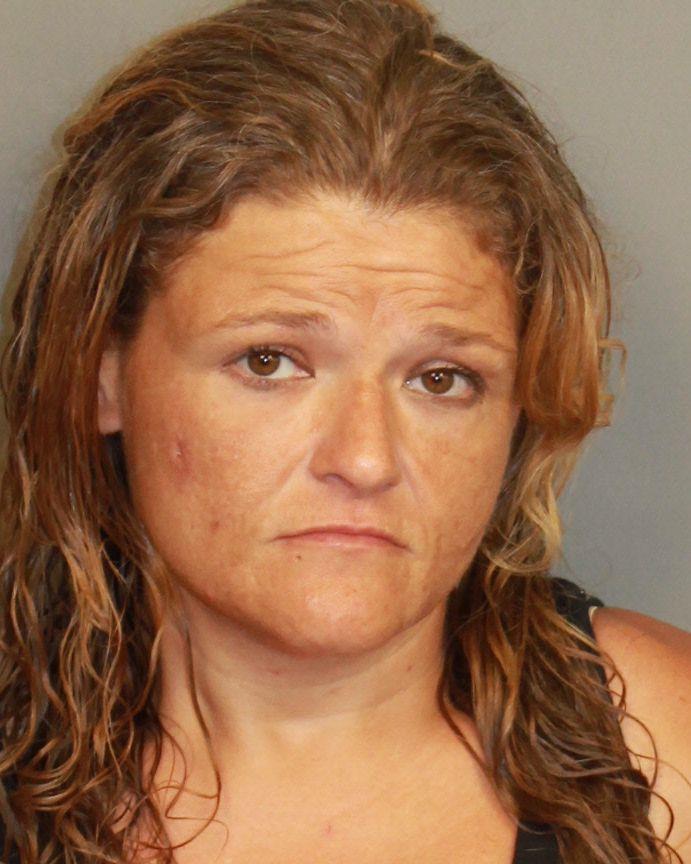 mugshot of LITTLE, DANIELLE SHEREE
