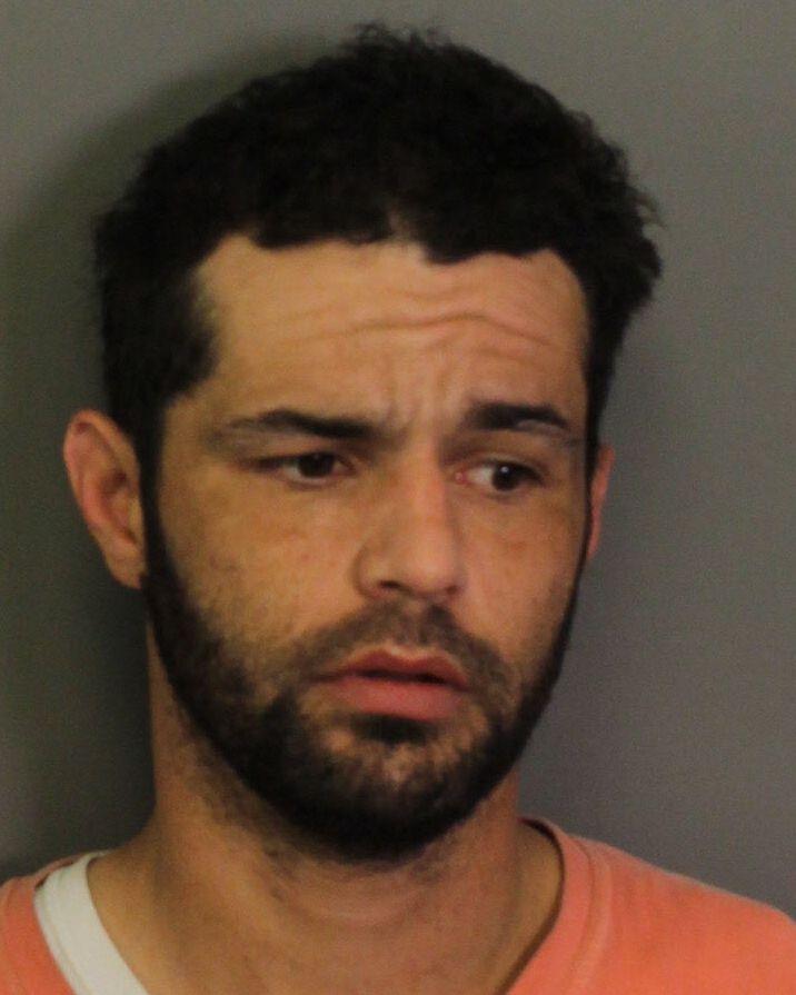 mugshot of SAMPLES, BRODY TYLER