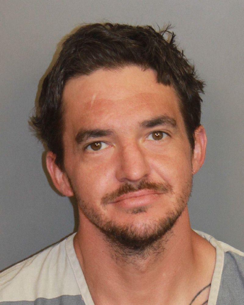 mugshot of BRADFORD, SHAWN DOUGLAS