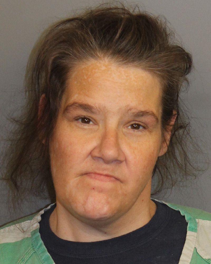 mugshot of SLOAN, MISTY ANN