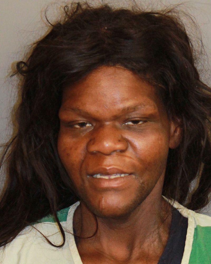 mugshot of LEE, JILLIAN KAYLA