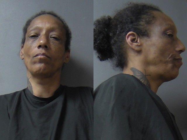 mugshot of Johnson, Dena Laverne