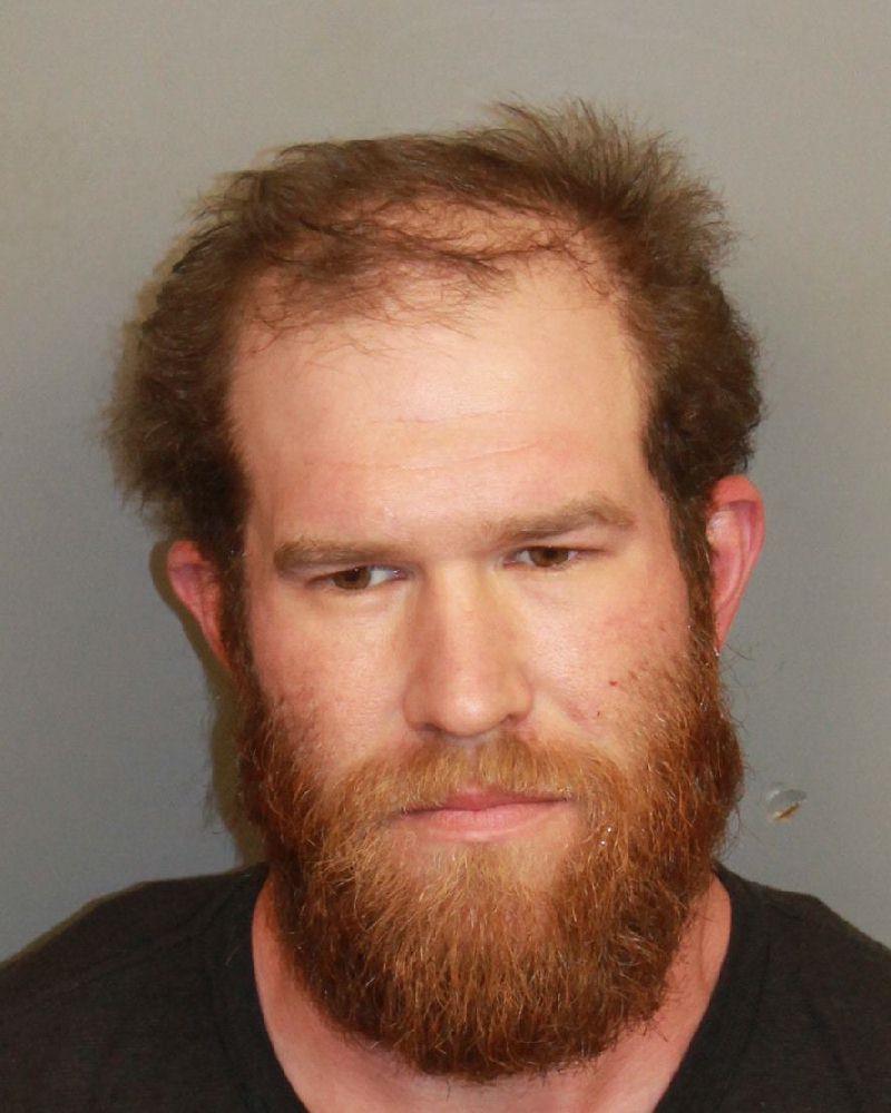 mugshot of VIGER, BRADY LEWIS