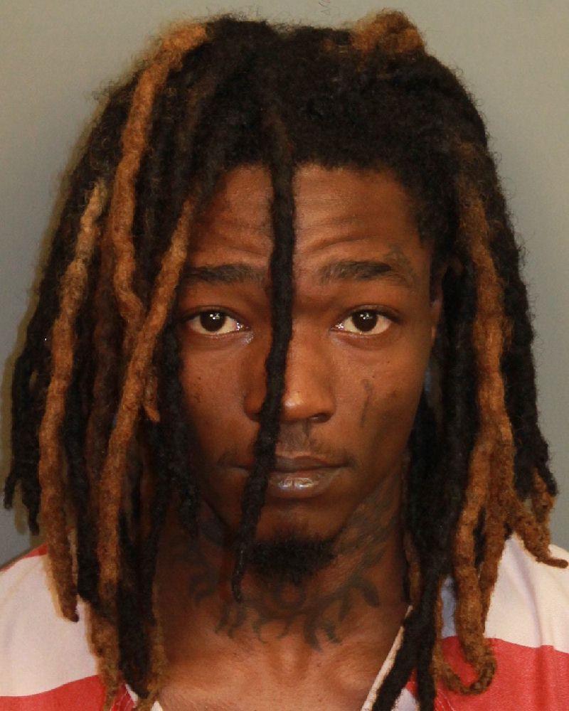 mugshot of WHITE, MAKALYN TERRELL