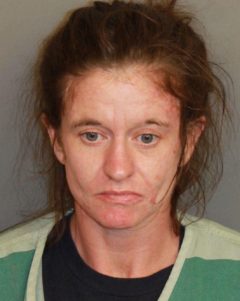 mugshot of REAGIN, ALISON LEIGH