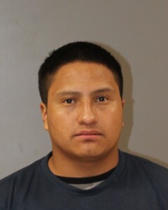mugshot of ALEX  PU