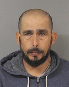 mugshot of JOSE  ROSALES
